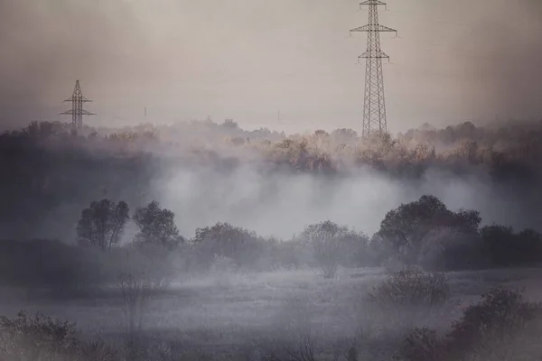 Mistige bos langs de rivier Sozh, Homel, Wit-Rusland — Stockfoto