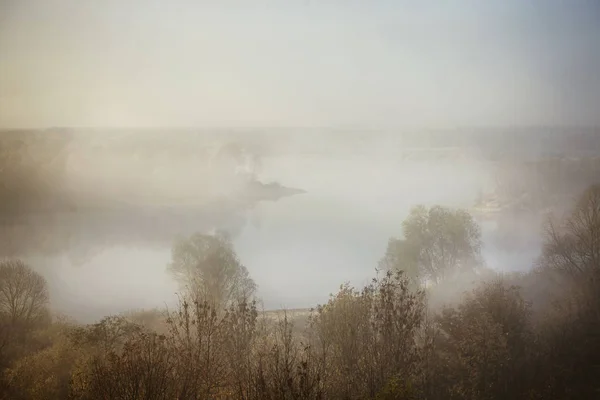 Misty forest and fog along the river Sozh, Gomel, Belarus — Stock Photo, Image