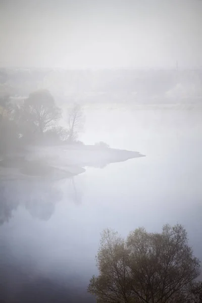 Mistige bos en mist langs de rivier Sozh, Homel, Wit-Rusland — Stockfoto