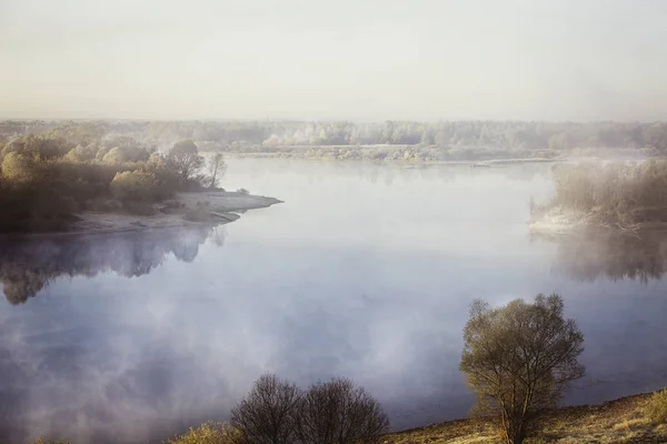 Mistige bos en mist langs de rivier Sozh, Homel, Wit-Rusland — Stockfoto