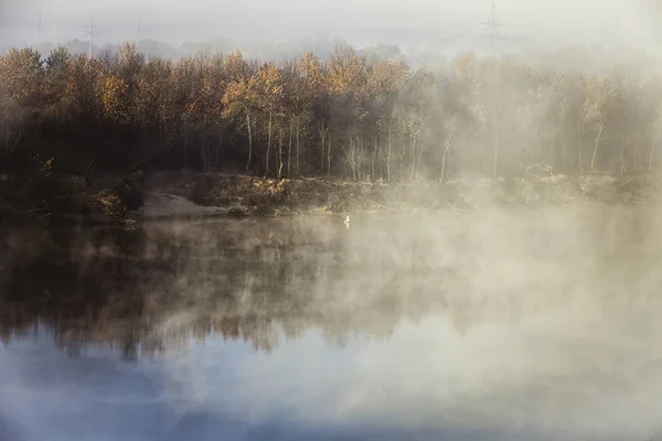 Mistige bos en mist langs de rivier Sozh, Homel, Wit-Rusland — Stockfoto