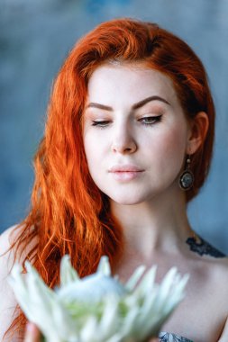 Büyüleyici romantik kadın kadın mavi zemin üzerine beyaz protea tutar