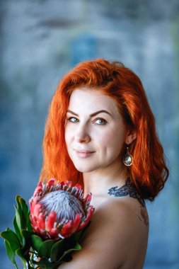 Büyüleyici romantik kadın kadın kırmızı protea mavi arka plan üzerinde tutar