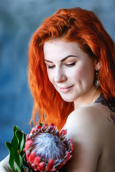 Büyüleyici romantik kadın kadın kırmızı protea mavi arka plan üzerinde tutar