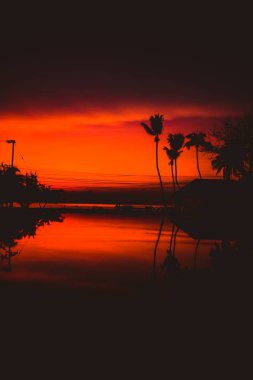 Siluet Hindistan cevizi hurma ağacı ve güzel lüks otel tatil Yüzme Havuzu ile güzel gündoğumu