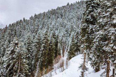 Hatsvali Khatsvali görünümünden resort teleferik kışın kayak. Kablolar, kar orman ve dağ dır. Mestia, Gürcistan