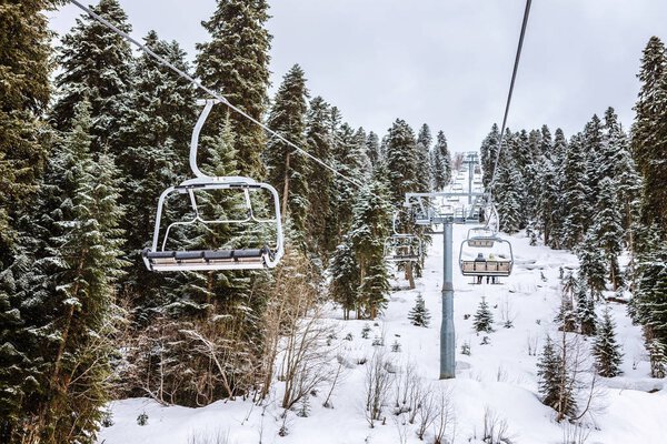 View from Hatsvali Khatsvali ski resort cableway in winter. Cables, forest and mountain Ushba. Mestia, Georgia