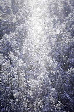 Ufuk kış arka plan