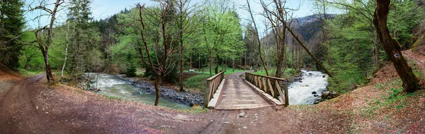 Vista panorámica del puente a través del arroyo de la montaña en el bosque de Borjomi —  Fotos de Stock