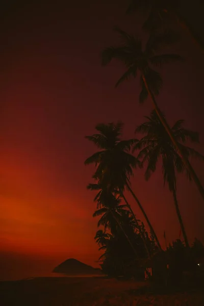 Thailändische Palmensilhouette bei Sonnenaufgang — Stockfoto