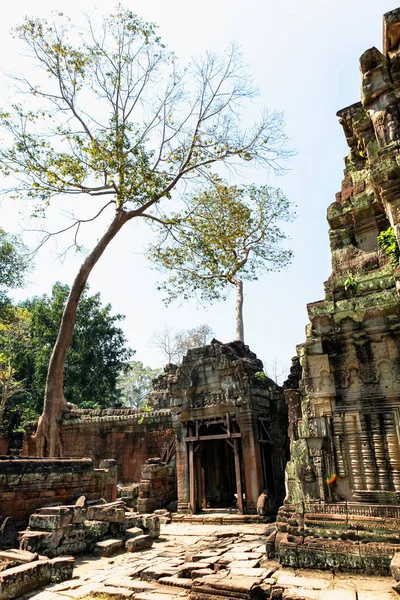 Prasat Prum Complesso Tempio Prohm Vicino Siem Reap Cambogia Enormi — Foto Stock