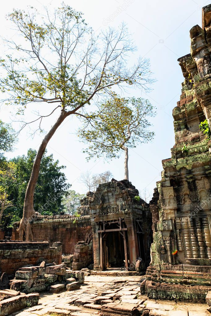 Prasat Ta Prum or Ta Prohm Temple complex, near Siem Reap, Cambodia. Huge tree roots grew on the temple entrance