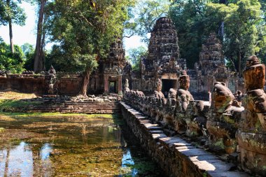 Prasat Ta Prum ya da Ta Prohm tapınak kompleksi, Siem Reap, Kamboçya yakınındaki. Büyük ağaç kökleri Tapınağı girişinde büyüdü