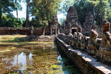 Prasat Ta Prum ya da Ta Prohm tapınak kompleksi, Siem Reap, Kamboçya yakınındaki. Büyük ağaç kökleri Tapınağı girişinde büyüdü
