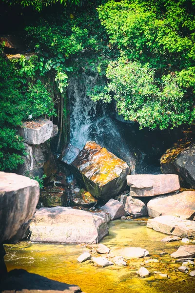 Estanque de jardín patio con cascada — Foto de stock © jpldesigns