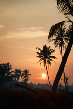 Kerala, Hindistan, Varkala, Odayam beach yakınındaki önemsizden üzerinde gündoğumu