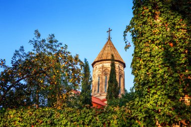 o Ejmiatsin Kilisesi, Ermeni Apostolik Kilisesi, sypresses, Avlabari semtinde, Tiflis, Gürcistan çevrili