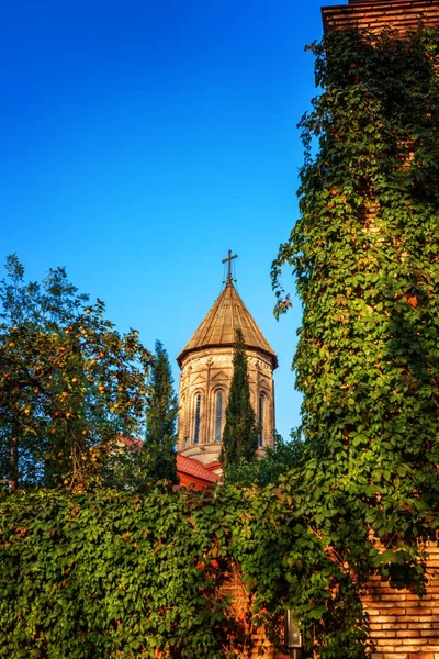 La Iglesia Ejmiatsin de la Iglesia Apostólica Armenia, rodeada de sipreses, ubicada en el distrito de Avlabari, Tiflis, Georgia — Foto de Stock