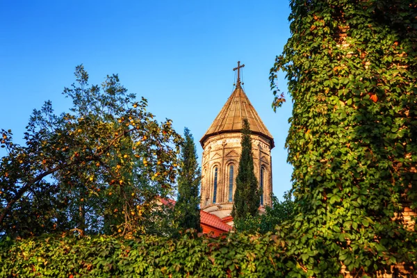 Ő Ejmiatsin egyház, apostoli örmény templom, sypresses, a Avlabari kerületben, Tbilisi, Grúzia — Stock Fotó