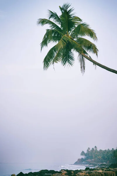 Praia preta bonita em Varkala, Kerala, Índia — Fotografia de Stock
