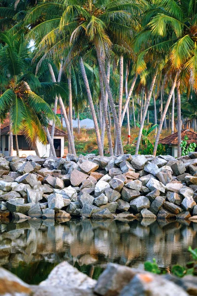 큰 방갈로 backwaters 근처 열 대 휴양지에서 거리 — 스톡 사진