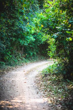 Bakış açısı güzel yeşil yol geçit Kep Milli Parkı, Kamboçya üzerinden