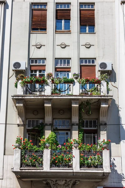 Окна фасада здания балкон Белград — стоковое фото