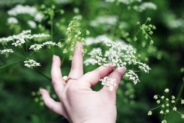 Elinde beyaz çiçek