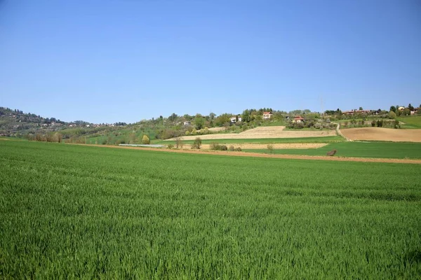 Prairie printanière avec herbe verte, ciel bleu, village — Photo