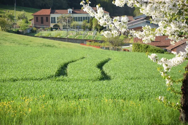 Prairie printanière avec herbe verte, ciel bleu, village — Photo