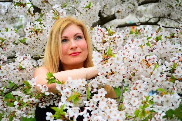 Bella femmina in posa nel giardino di sakura — Foto Stock