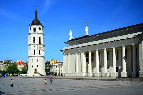 Katedral kasık etki alanı kare alan Vilnius — Stok fotoğraf