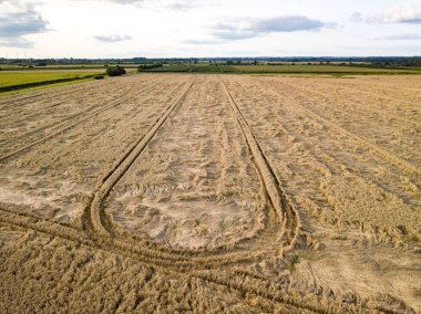Luftbild von Niedersachsens Elbmarsch
