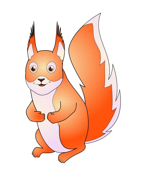 Illustration vectorielle écureuil, isolée sur fond blanc . — Image vectorielle