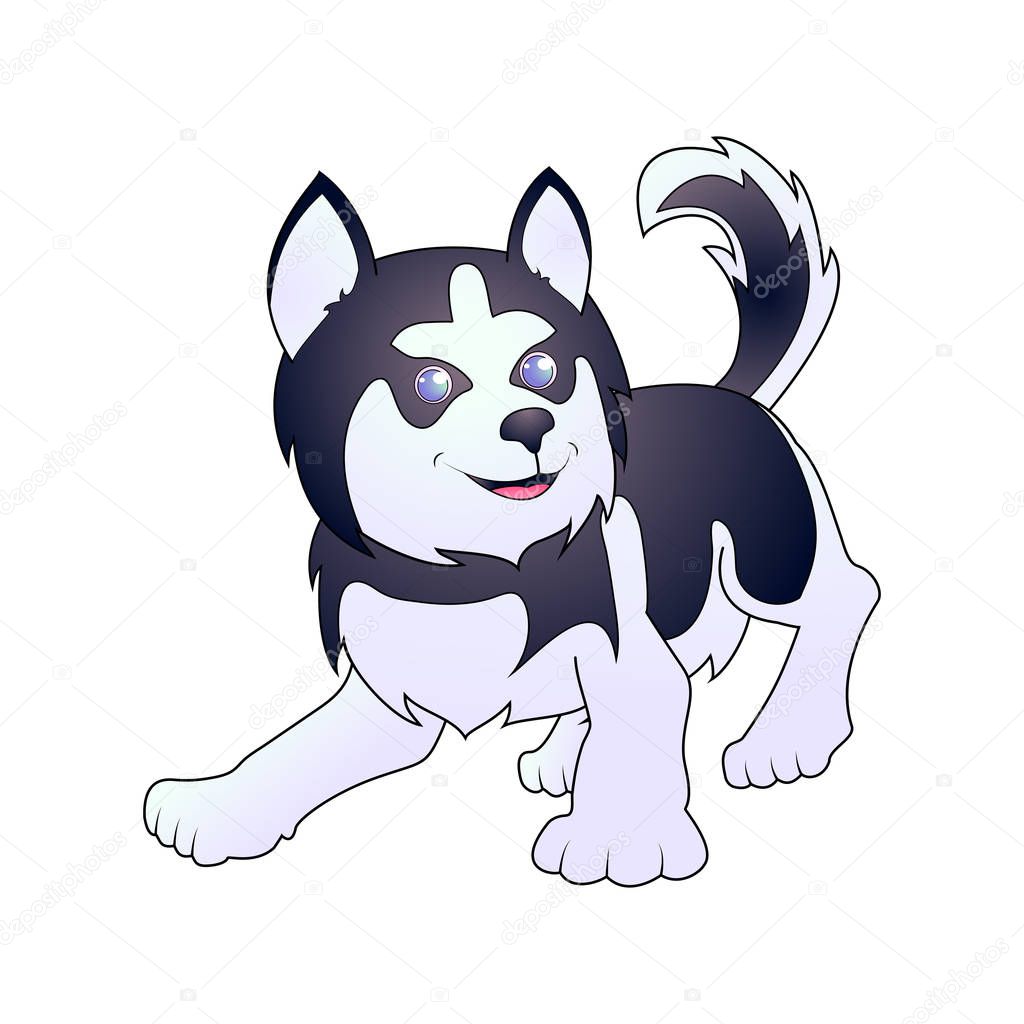 Husky vector illustration, isolated on white background