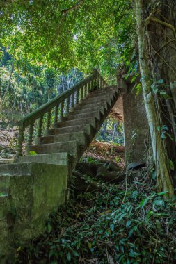 Samui Secret Buddha Garden-merdiven