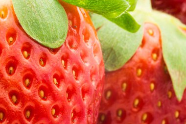 çilek yakın çekim 