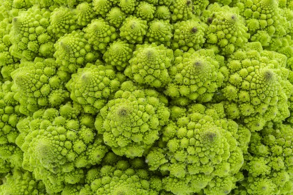 Grüner Blumenkohl - aus nächster Nähe lizenzfreie Stockbilder