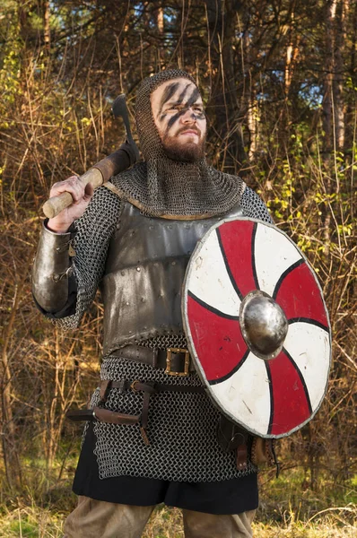 Vikingo sosteniendo espada y escudo sobre el fondo de la naturaleza salvaje — Foto de Stock