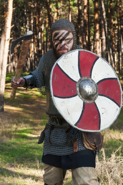 Viking drží sekeru a štít na pozadí divoké přírody — Stock fotografie