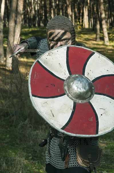 Viking segurando espada e escudo no fundo da natureza selvagem — Fotografia de Stock