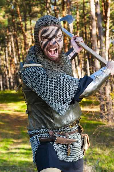 Viking höjde hans yxa på vilda naturen bakgrunden — Stockfoto