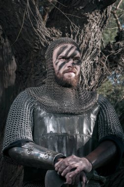 Viking holding balta vahşi doğa arka plan üzerinde