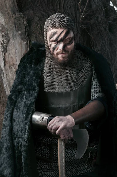 Viking v srsti drží sekeru na pozadí divoké přírody — Stock fotografie