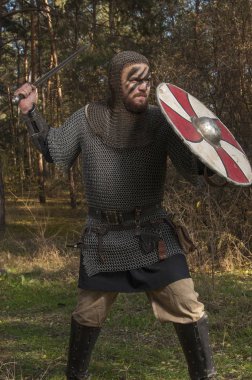 Kılıç ve kalkan vahşi doğa arka planda tutan Viking