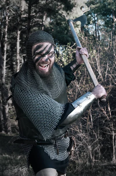 Viking aan de orde gesteld zijn bijl op de achtergrond van de wilde natuur — Stockfoto