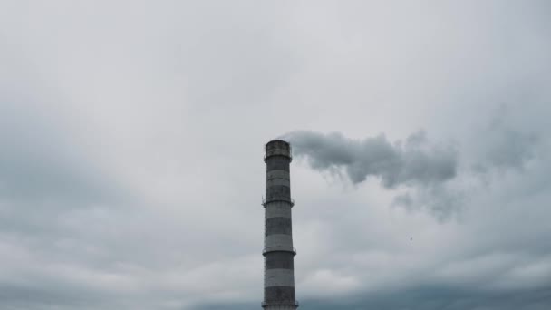 钢厂管道的空中无人机画面 附近的植物和烟云从烟囱里冒了出来 空中4K — 图库视频影像