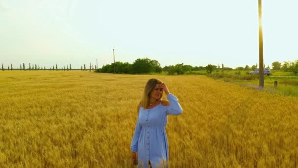 Piękna Młoda Dziewczyna Niebieskiej Sukience Stoi Pszenicy Zachodzie Słońca Pobliżu — Wideo stockowe