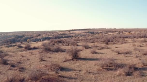 Vista Aérea Vista Imágenes Drones Vuelo Través Del Cañón Otoño — Vídeo de stock