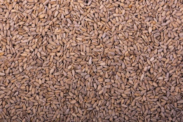 Семена фон. Текстура семян. Здоровое натуральное питание — стоковое фото